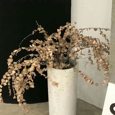 Furry插画风格灵感Furry群